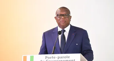conseil-des-ministres-de-bonnes-nouvelles-pour-la-filiere-coton-riz-et-palmier-a-huile