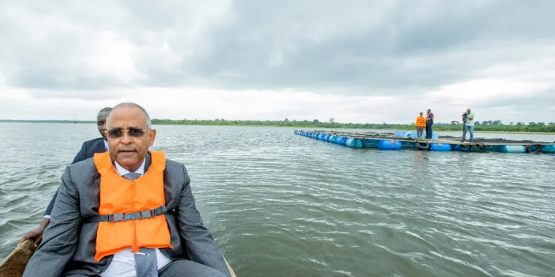 aquaculture-en-cote-divoire-un-programme-pour-combler-le-besoin-national-en-poissons