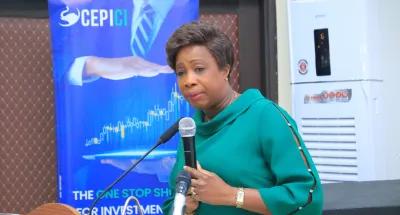 investissements-le-cepici-passe-au-peigne-fin-940-projets-agrees-de-2016-a-2018