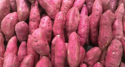 astuces-sante-zoom-sur-les-bienfaits-de-la-patate-douce-partie-1