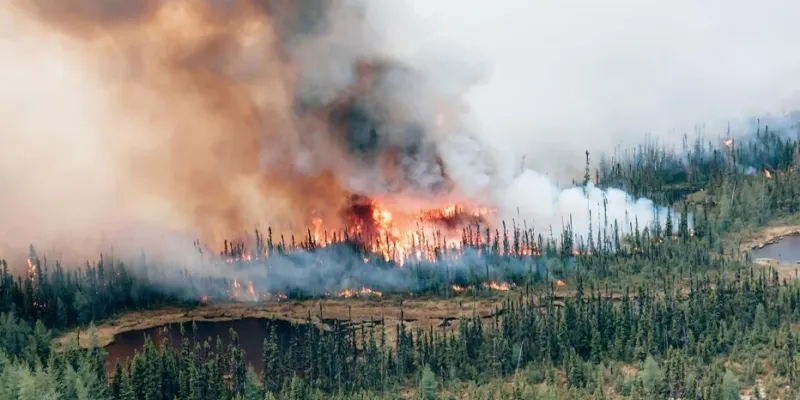 incendies-de-forets-le-canada-toujours-en-feu-depuis-trois-mois