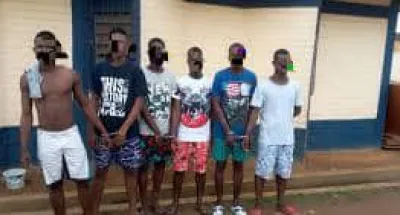 tribunal-de-yopougon-plusieurs-individus-reconnus-coupables-condamnes-a-des-peines-demprisonnement-ferme