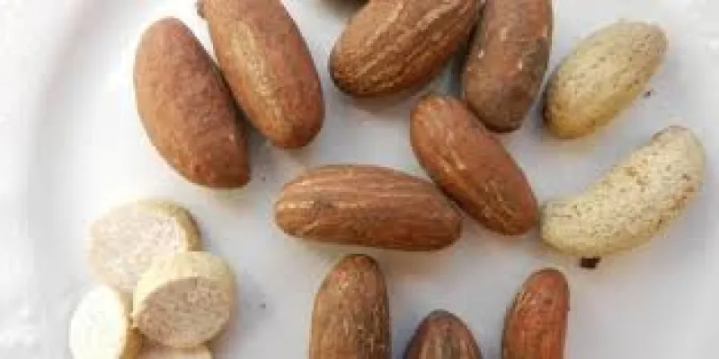 sante-les-bienfaits-du-petit-cola-pour-lhomme