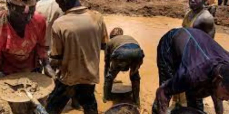 cote-divoire-orpaillage-clandestin-5ans-de-prison-requis-contre-14-personnes