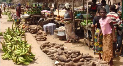 securite-alimentaire-manioc-igname-mais-riz-banane-etc-les-exportations-suspendues-pour-6-mois