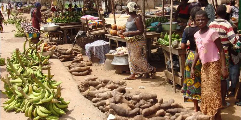 securite-alimentaire-manioc-igname-mais-riz-banane-etc-les-exportations-suspendues-pour-6-mois