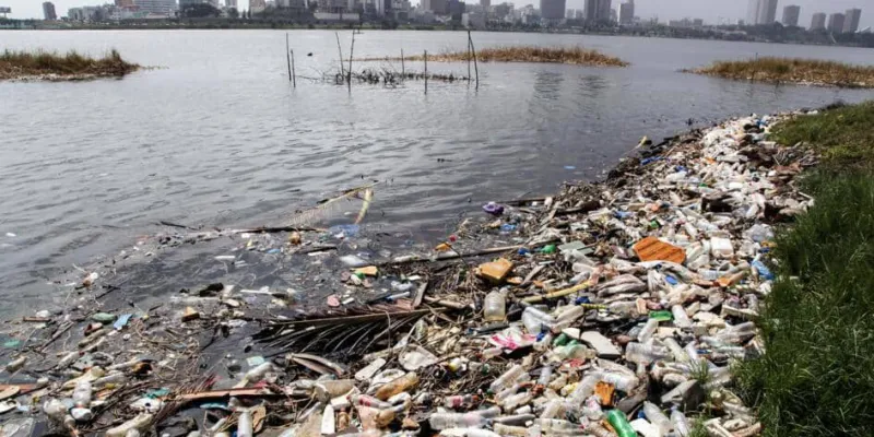 cote-divoire-tout-savoir-sur-la-mort-de-plusieurs-poissons-a-abidjan