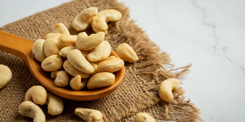 filiere-anacarde-une-entreprise-internationale-disposee-a-accompagner-les-acteurs