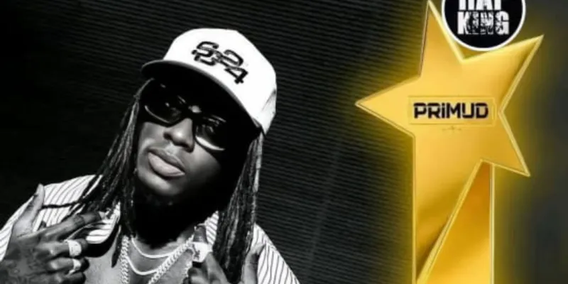 une-soiree-decevante-pour-didi-b