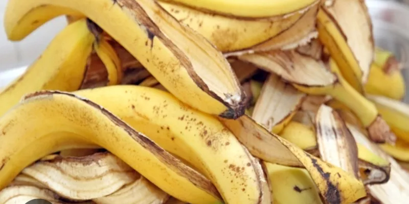 anti-age-et-eclaircissement