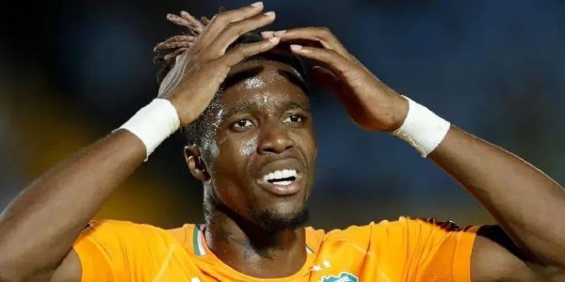 publication-de-la-liste-des-26-elephants-pour-la-can-le-grand-retour-de-zaha-et-de-michael-seri