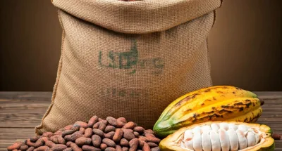 une-situation-delicate-pour-abidjan