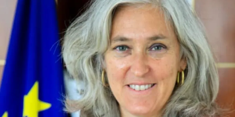 interdiction-des-produits-issus-de-la-deforestation-lunion-europeenne-adopte-une-nouvelle-loi