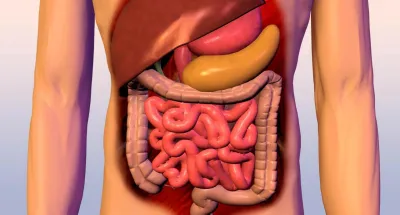 habitudes-alimentaires-comment-ameliorer-son-transit-intestinal