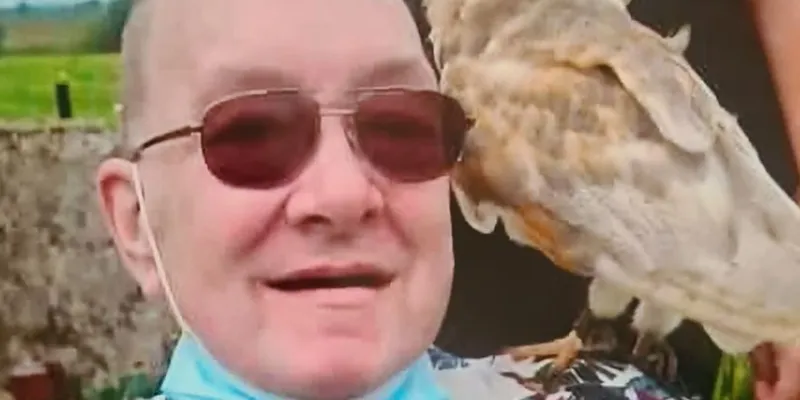 irlande-un-homme-tue-par-son-poulet